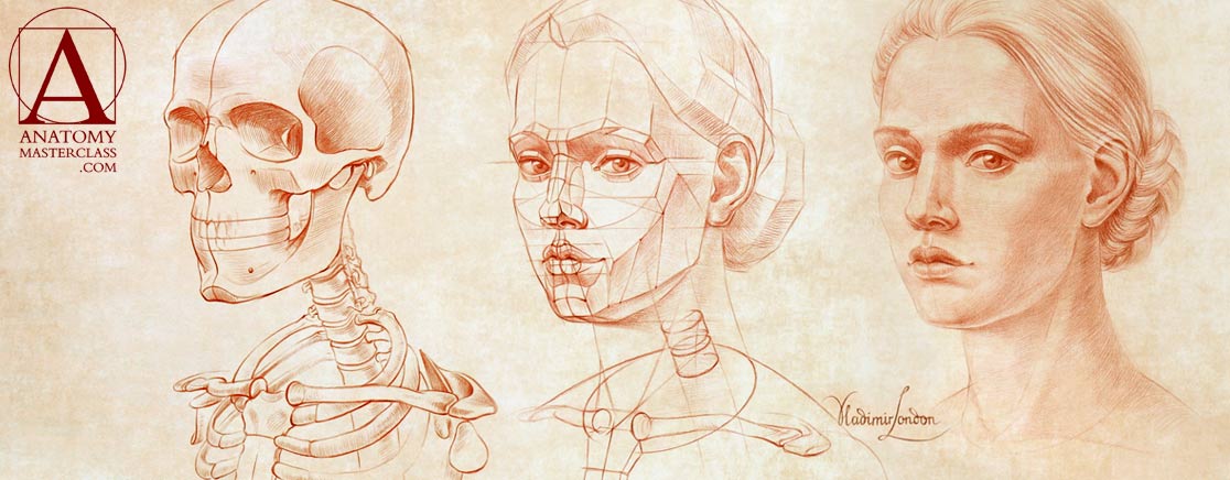 Anatomy Master Class
