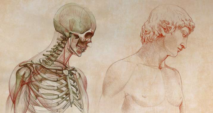 Anatomy Master Class
