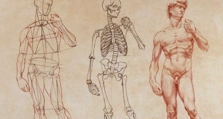 Anatomy Master Class